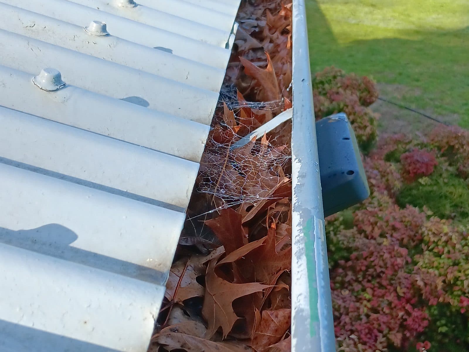 Why Gutter and Roof Maintenance Cannot Be Deferred