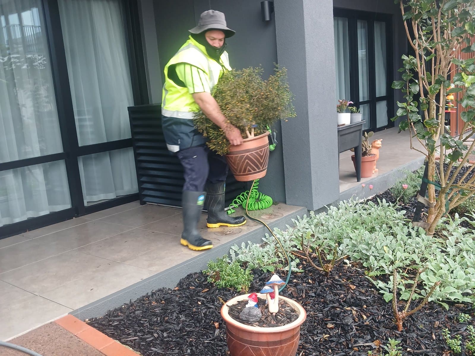 We Look After Your Garden and Property