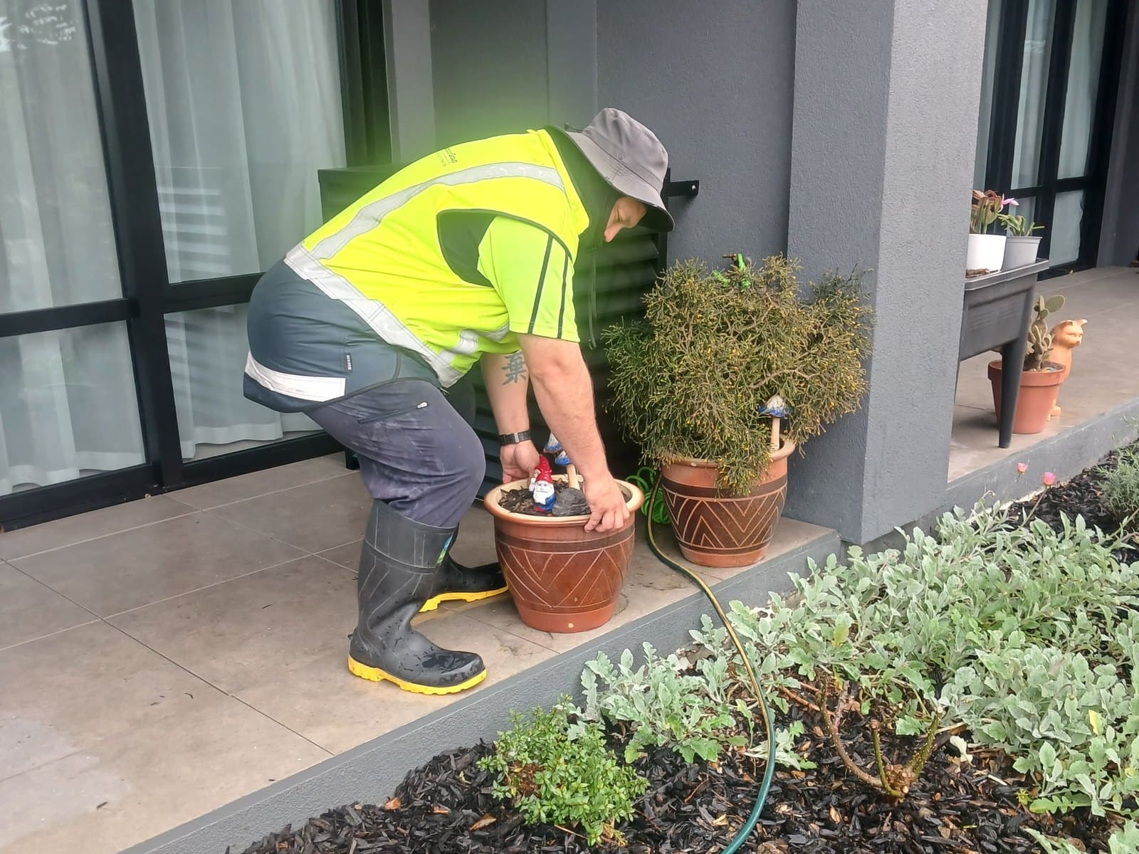 We Look After Your Garden and Property