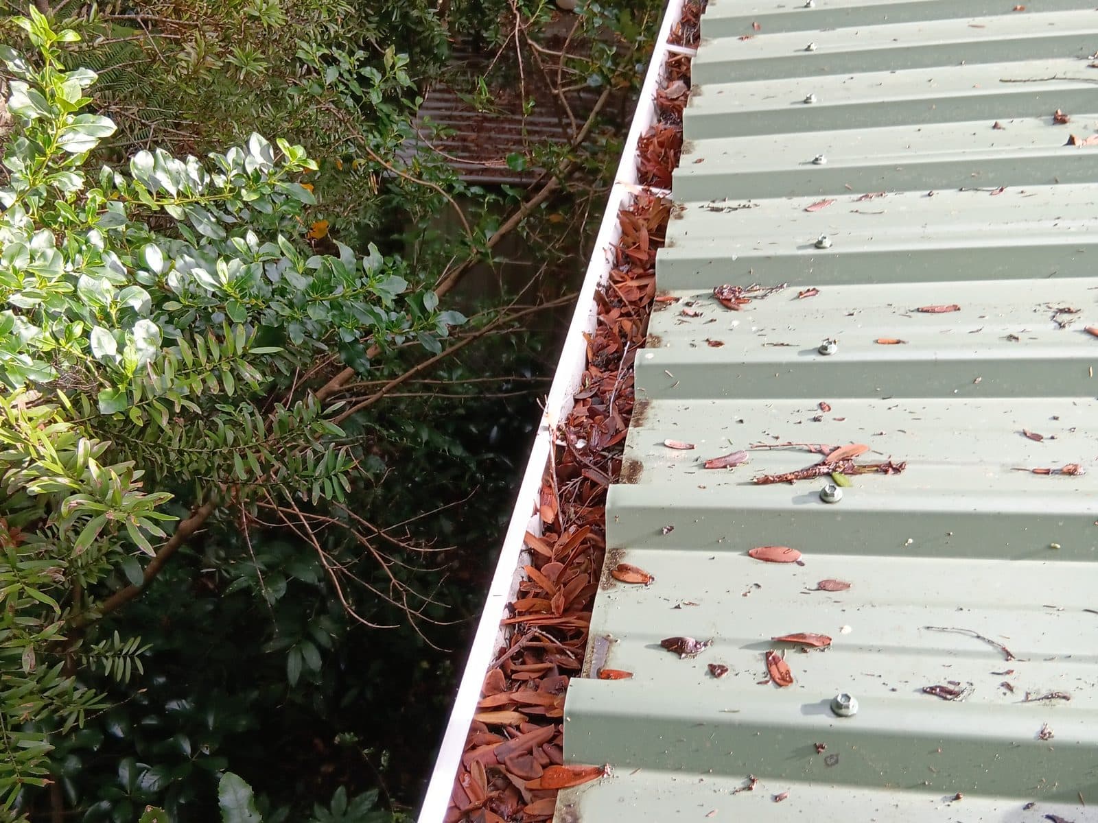 Why Blocked Gutters Are a Bigger Problem Than They Look