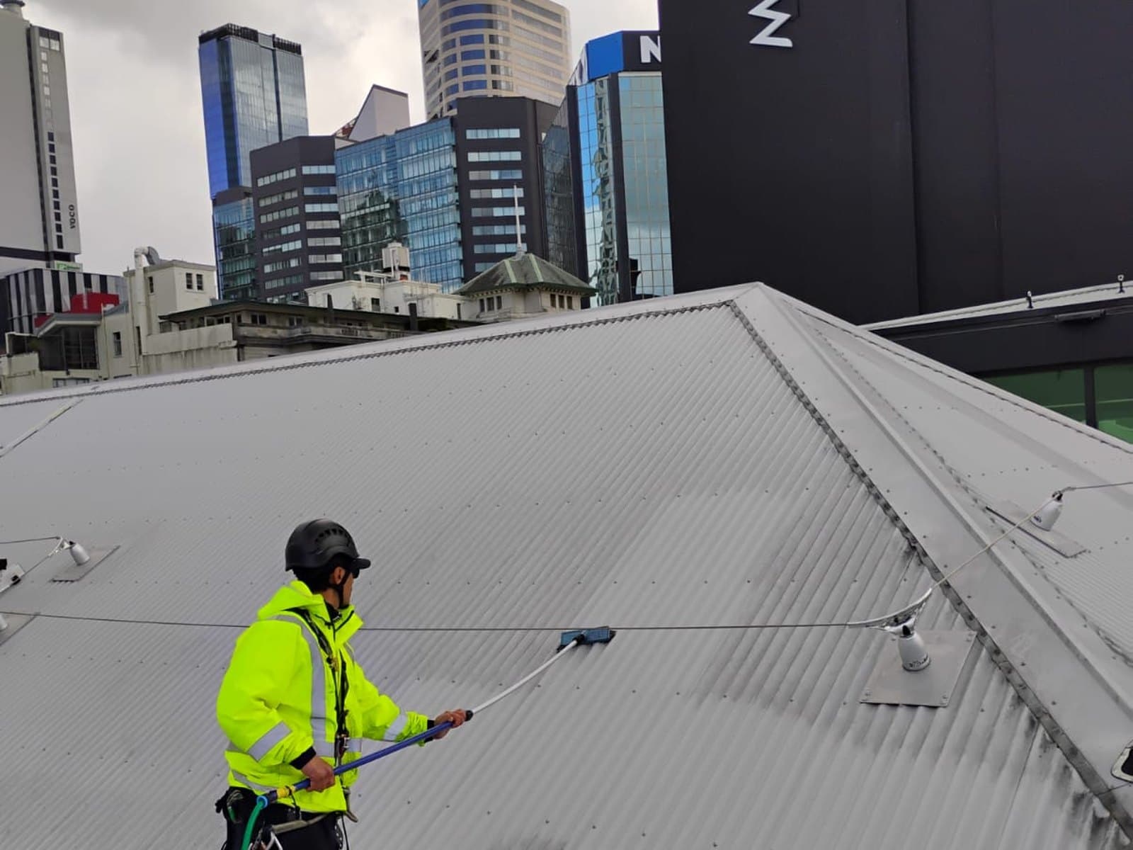 Gutter & Roof Cleaning